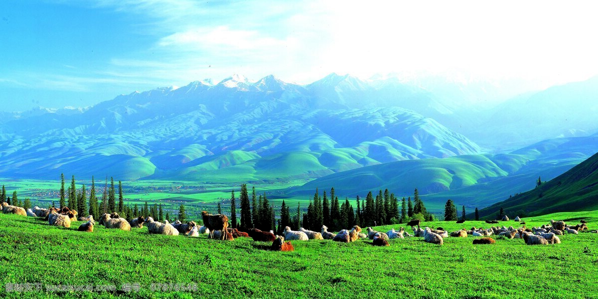 草原 背景 素材图片 高山 树林 动物 草地 自然风光 景观 景区 休闲 旅游 草原图片 风景图片