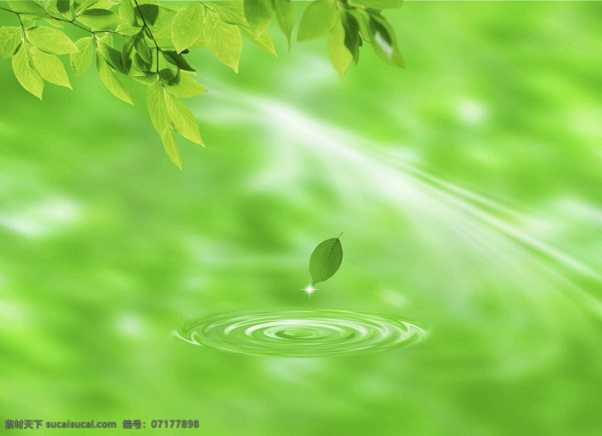 背景 波纹 绿叶 水滴 水滴绿叶 星光 设计素材 模板下载 自然风光 自然景观