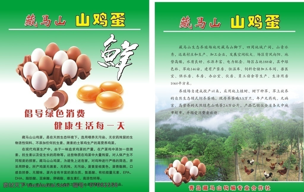 藏 马山 山 鸡蛋 彩页 藏马山 山鸡蛋 广告 包装设计