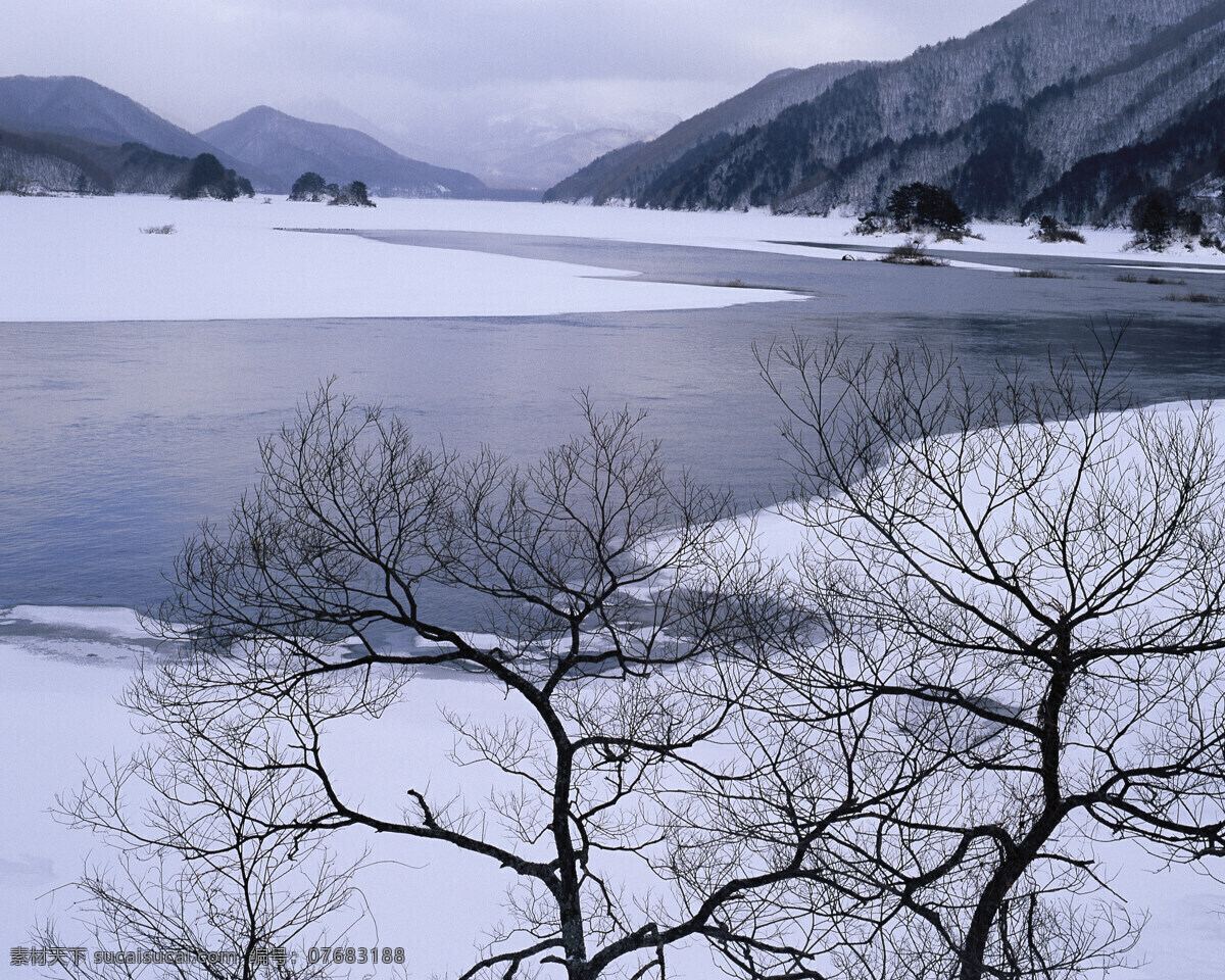 湖中 薄薄 冰片 白雪皑皑 雪景 雪松 白雪风光 森林大雪 风景 生活 旅游餐饮