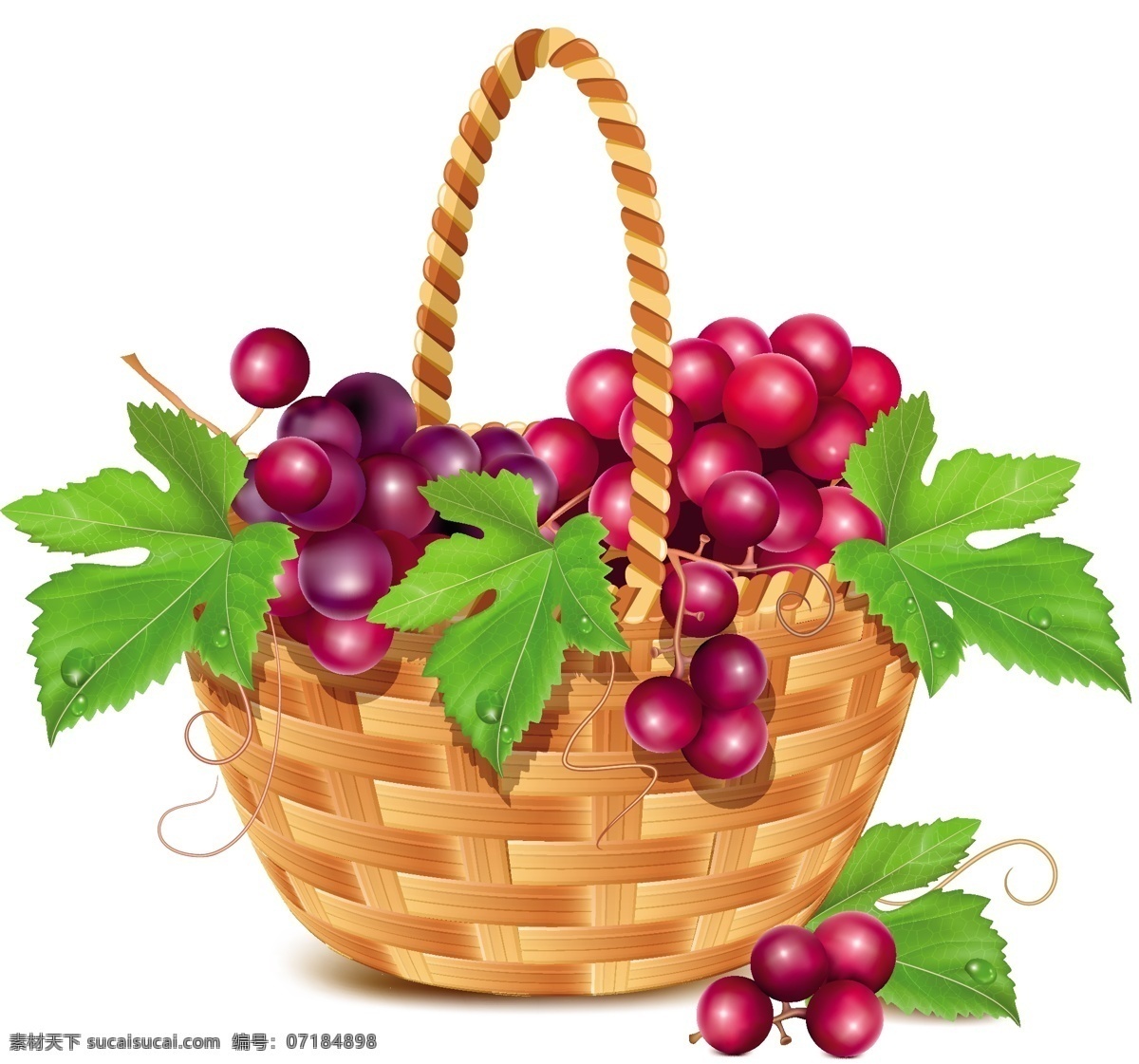 水果篮 里 葡萄 矢量 水果 水果篮子 葡萄叶 露珠 矢量图 叶子 食品果蔬 分层
