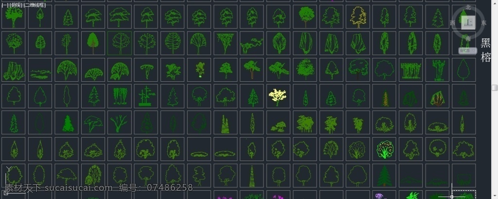 cad 植物 立面 图 植物立面图 图列 dwg 黑色