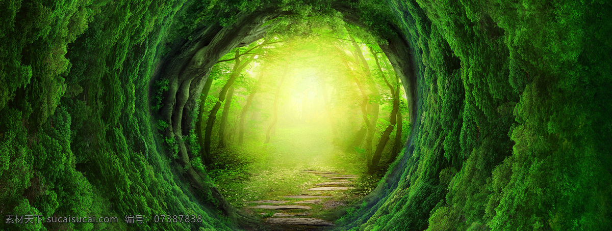 森林 梦幻 童话 清新 背景 自然生态