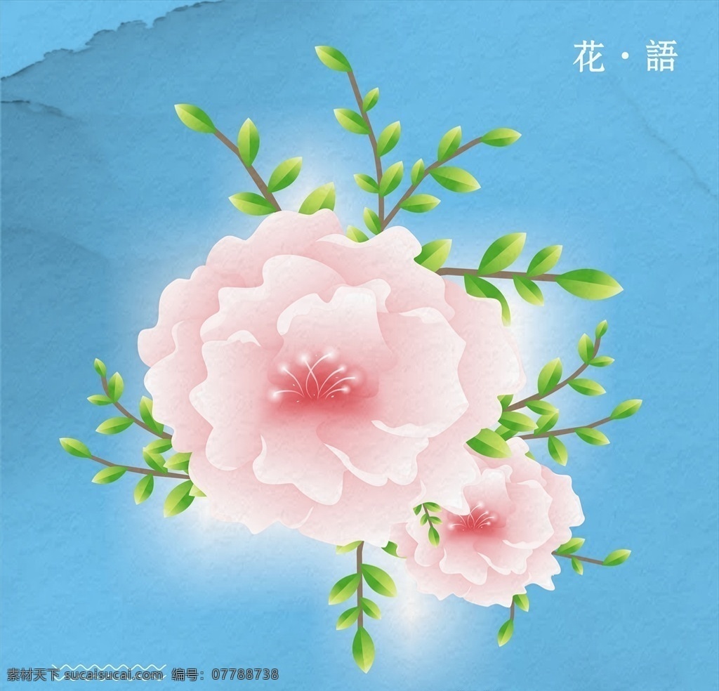 牡丹 花卉 矢量花 花朵