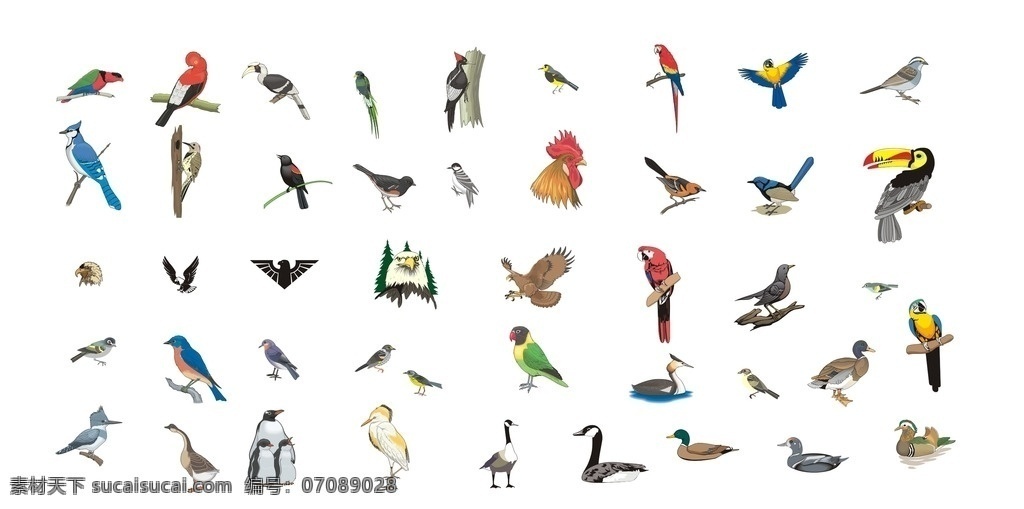 矢量鸟 各种鸟 大鸟 树 自然 动物