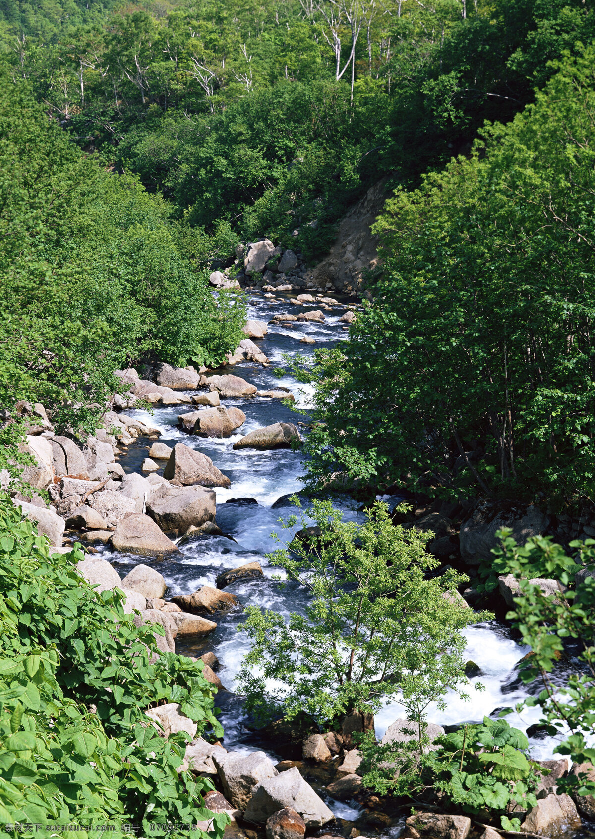 湍急 河流 自然 风景 水花 水雾 溅出 急流 岩石 树木 山水风景 风景图片