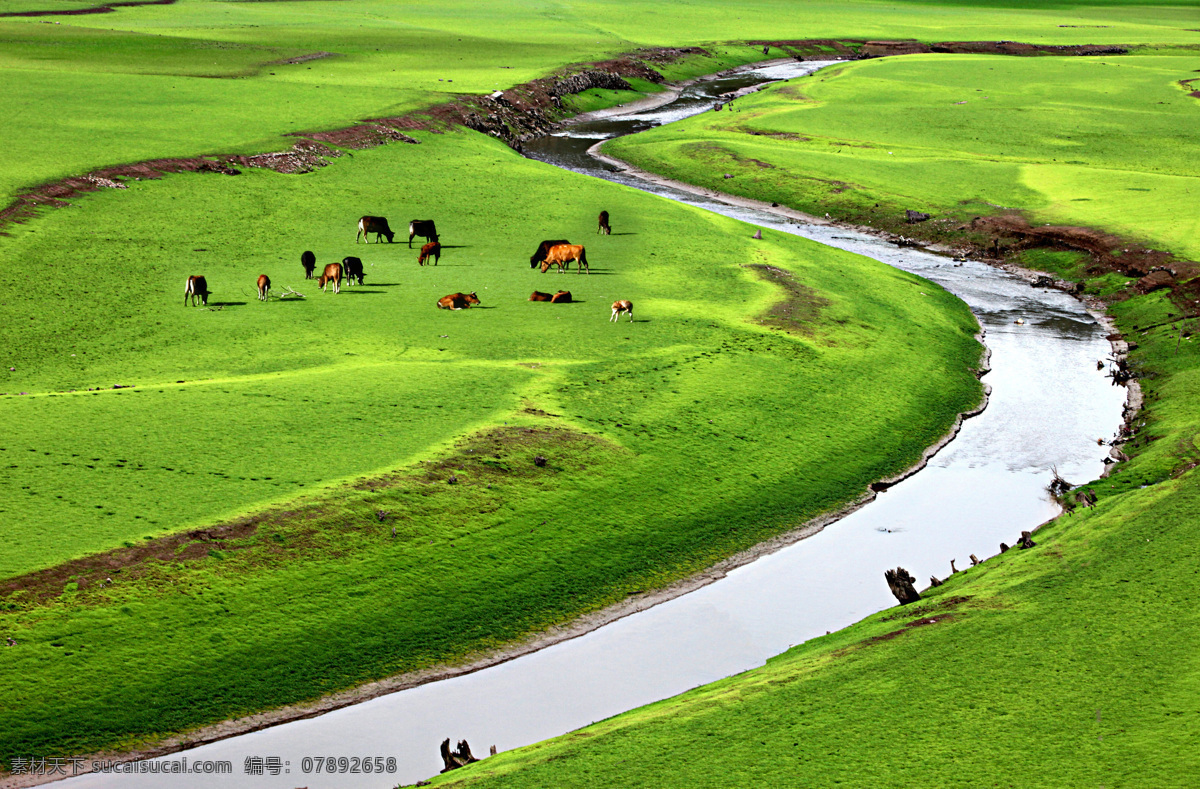 绿色草原 绿色 草原 草地 湖水 河流 自然景观 自然风景