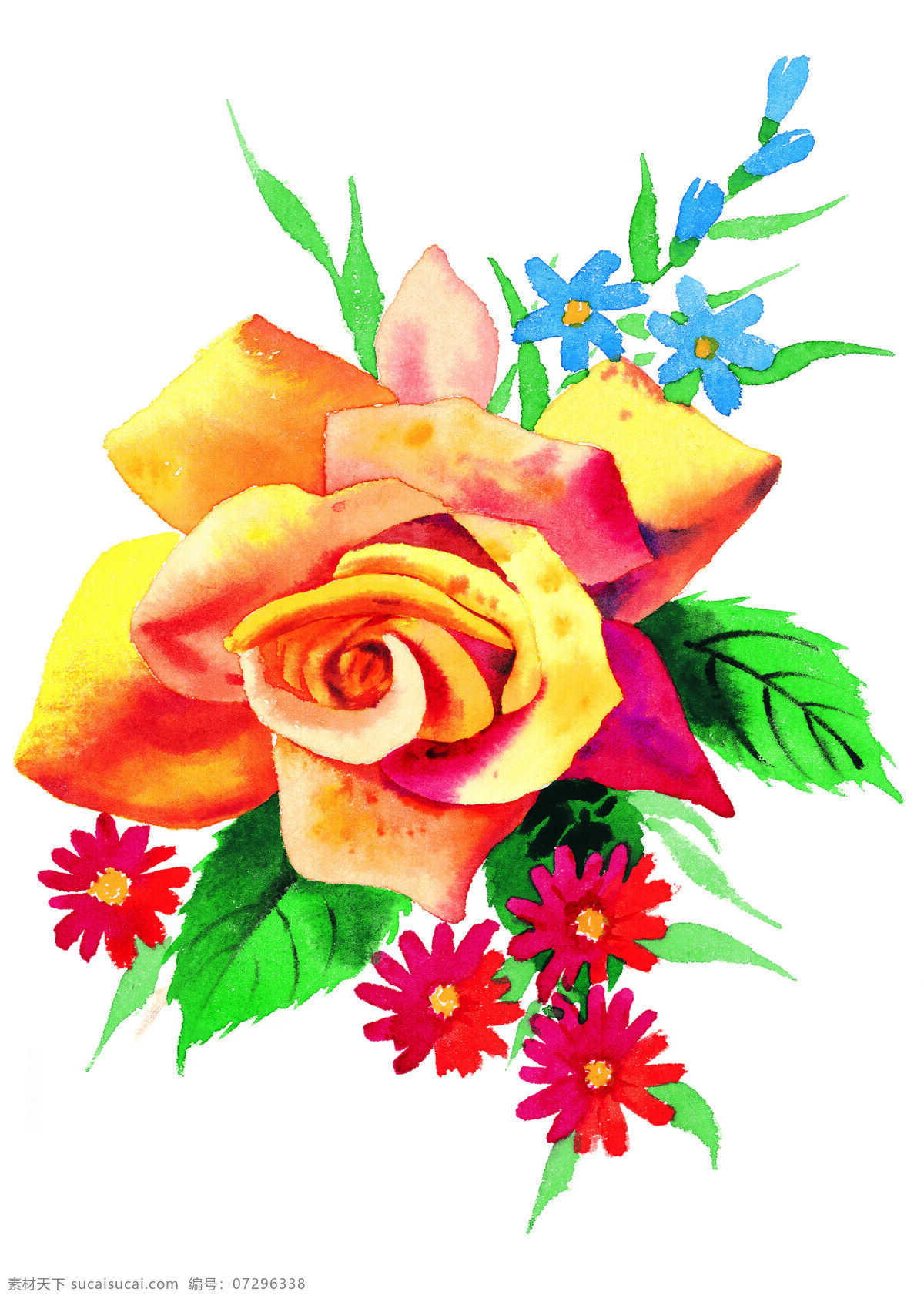高清晰 手绘 黄 玫瑰 黄玫瑰2 设计素材 花草图案 植物插图 书画美术 白色