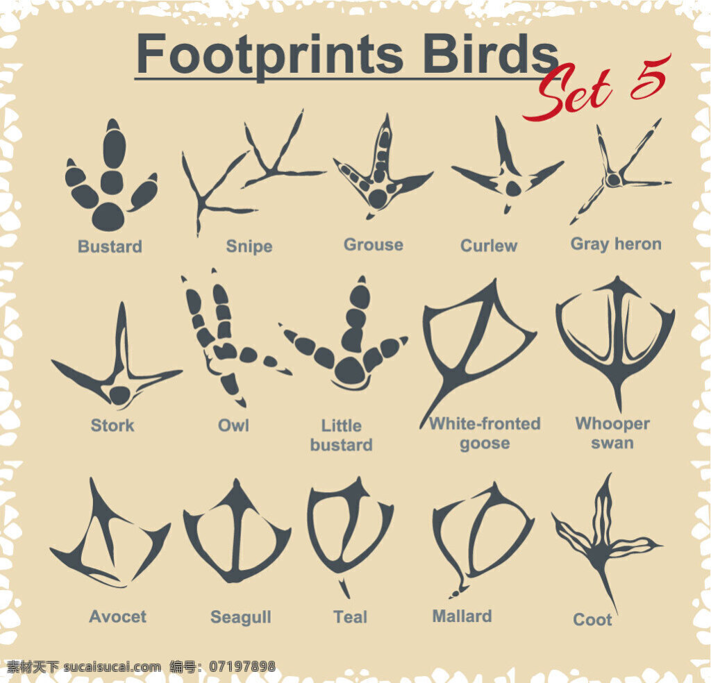各种 动物 脚印 矢量图 装饰图案 动物脚印