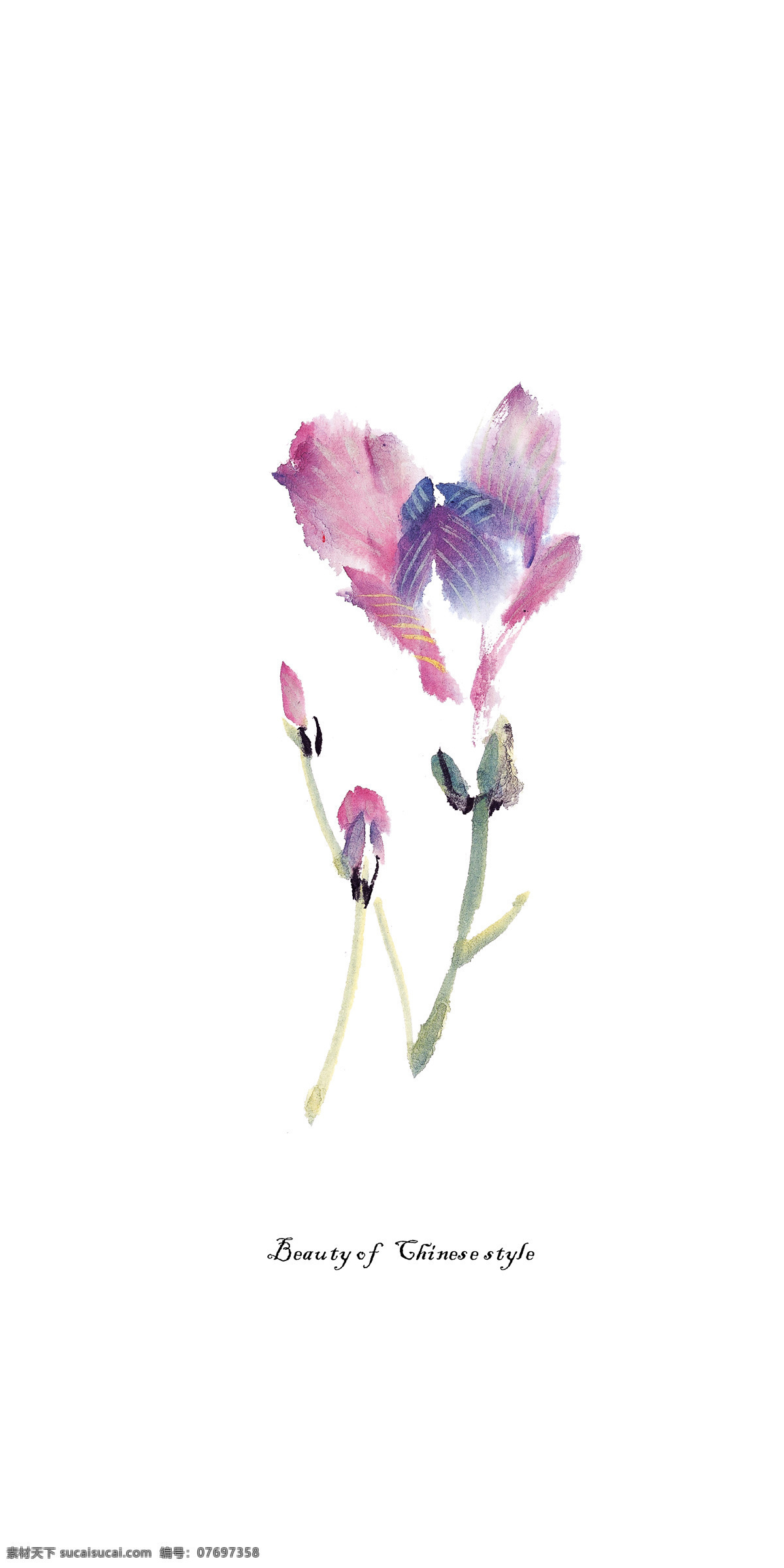 花装饰画 兰花 紫色 简约 装饰画 唯美 清新 装饰原图 自然景观