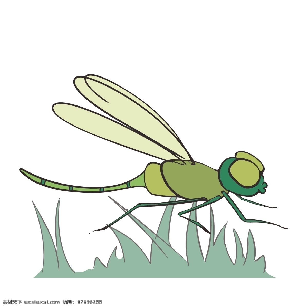 简约 扁平 卡通 蜻蜓 昆虫 矢量 元素 插图 虫子