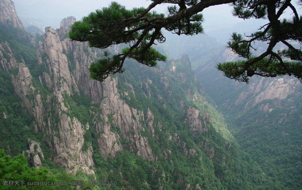 黄山景观 松 石 树 云 雾 天 景区竹 自然风景 自然景观