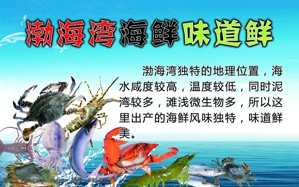 海鲜 味道鲜 渤海湾海鲜 螃蟹 虾 鱼 分层