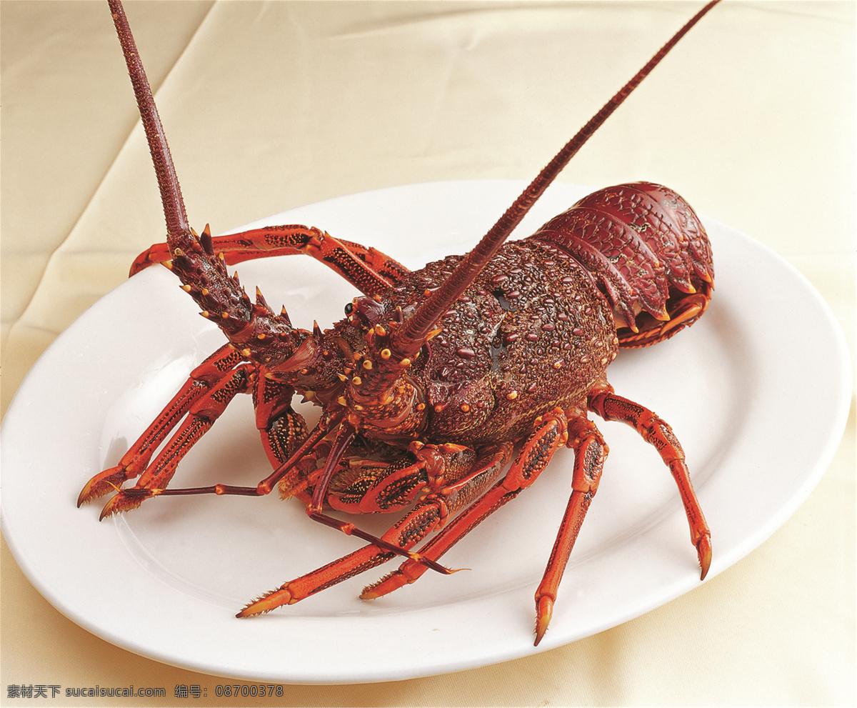 澳洲龙虾图片 澳洲龙虾 美食 传统美食 餐饮美食 高清菜谱用图