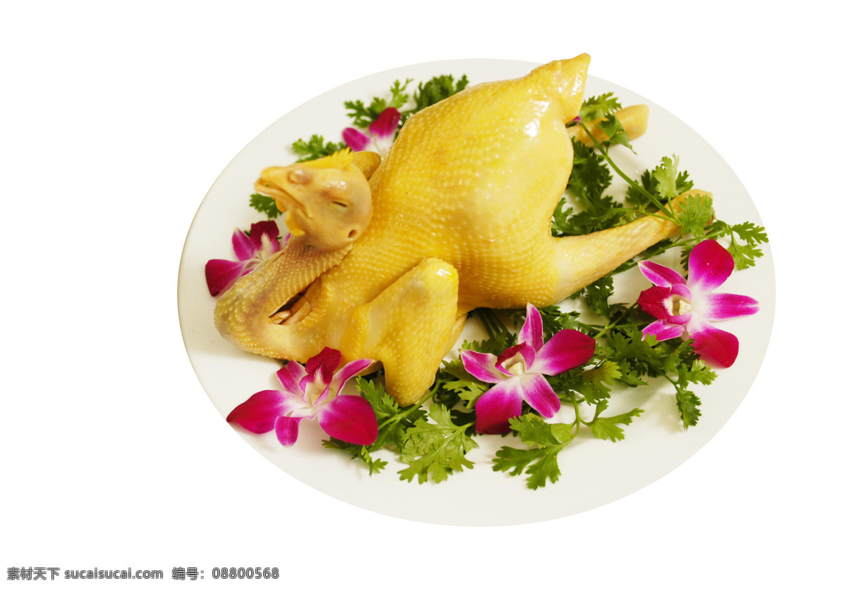 白斩鸡 美味 佳肴 鸡 碟子 菜 酒店 红烧 食品 秘制白斩鸡 传统美食 餐饮美食