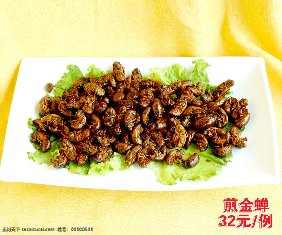 酒店美食 煎金蝉 传统美食 餐饮美食
