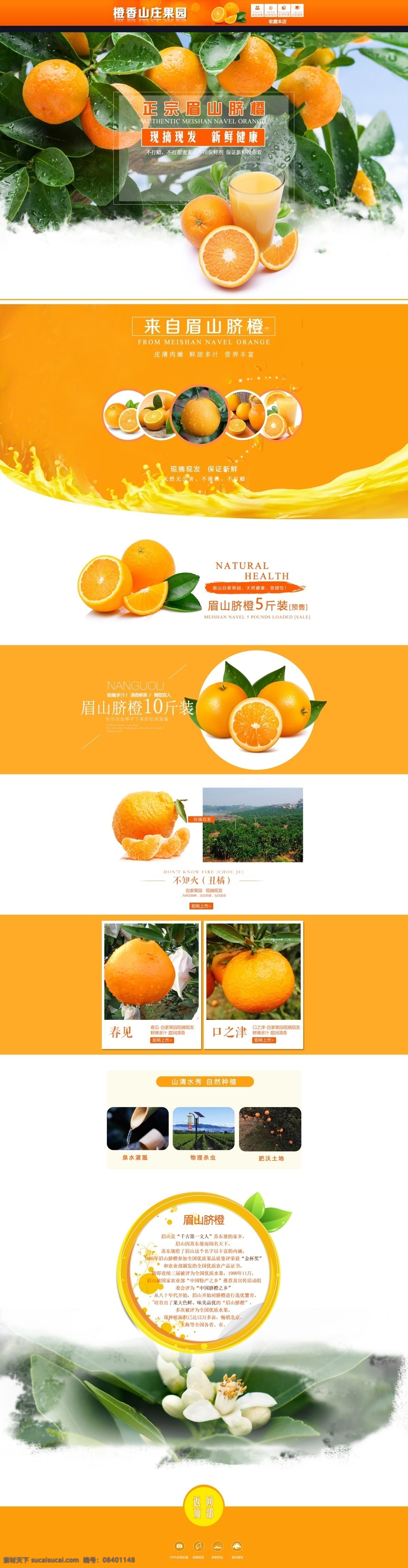 脐橙 首页 淘宝 电商 水果 橘子 新鲜 橙色 绿色