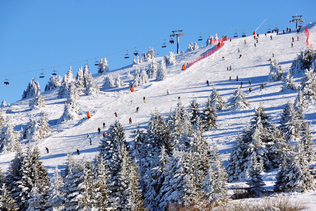 滑雪场风景 雪山风景 滑雪公园风景 雪地风景 美丽雪景 体育运动 生活百科 蓝色