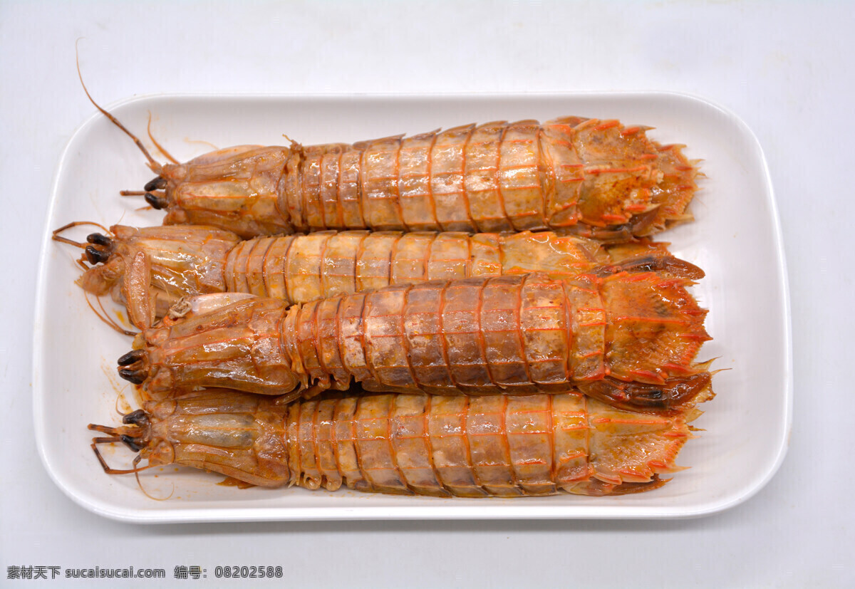 皮皮虾 虾姑排 琵琶虾 虾耙子 虾公驼子 瀨尿虾 螳螂虾 海鲜 美食 青岛大虾 火锅 火锅食材 爬爬虾 俯视 餐饮美食 食物原料