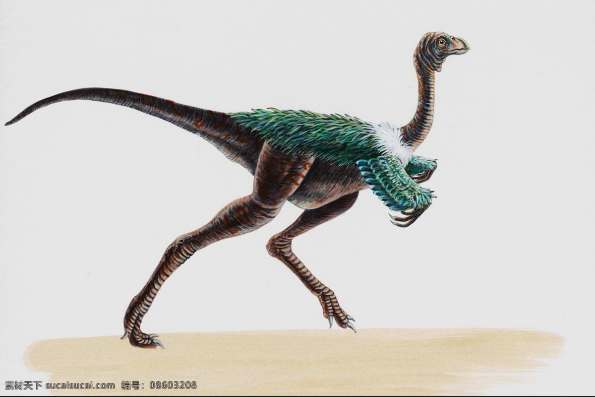 恐龙 侏罗纪 恐龙时代 恐龙绘画 恐龙手绘 恐龙复原图 生物世界