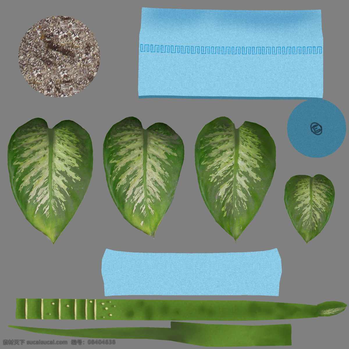 特色 造型 室内 盆栽 模型 植物 绿色 3d模型 白色 大叶子