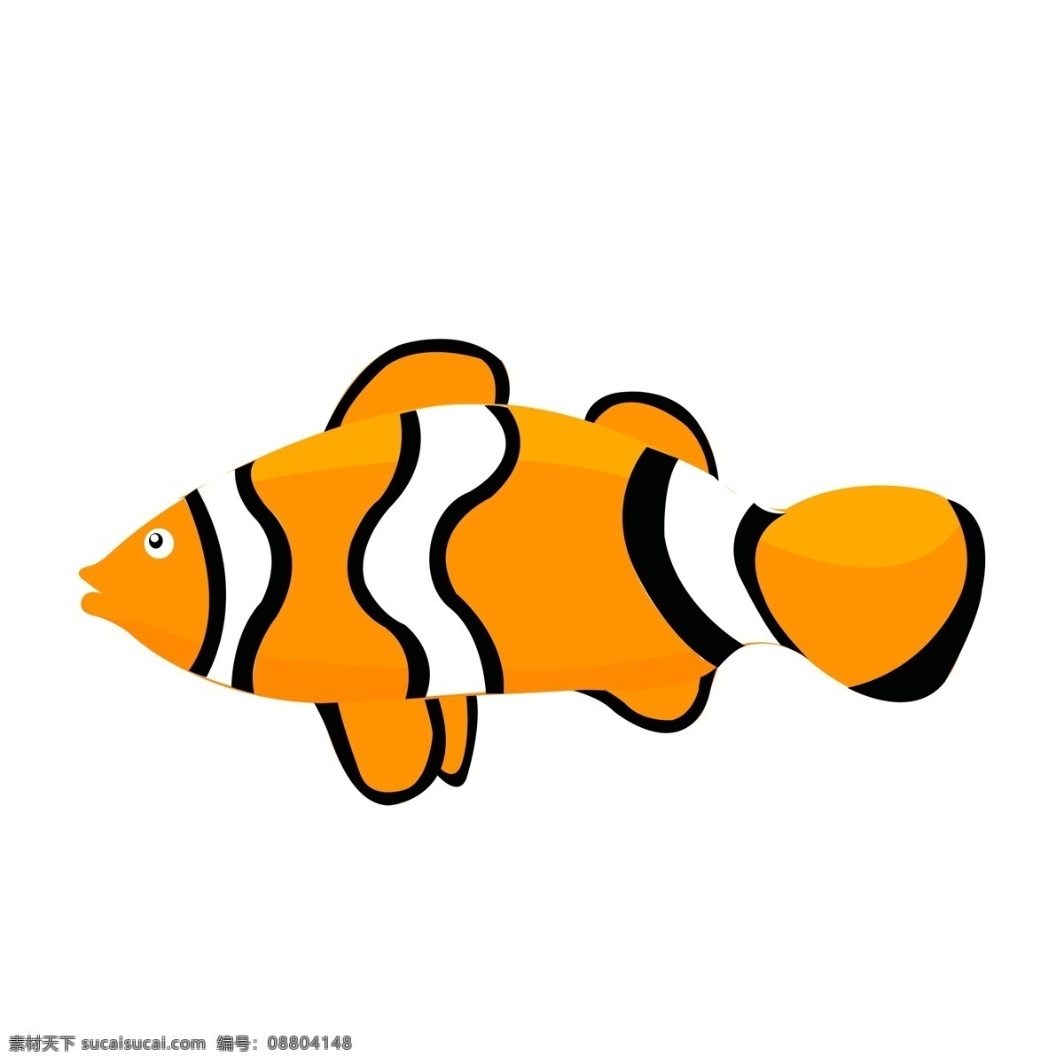 小鱼海洋生物 海洋 生物 小鱼