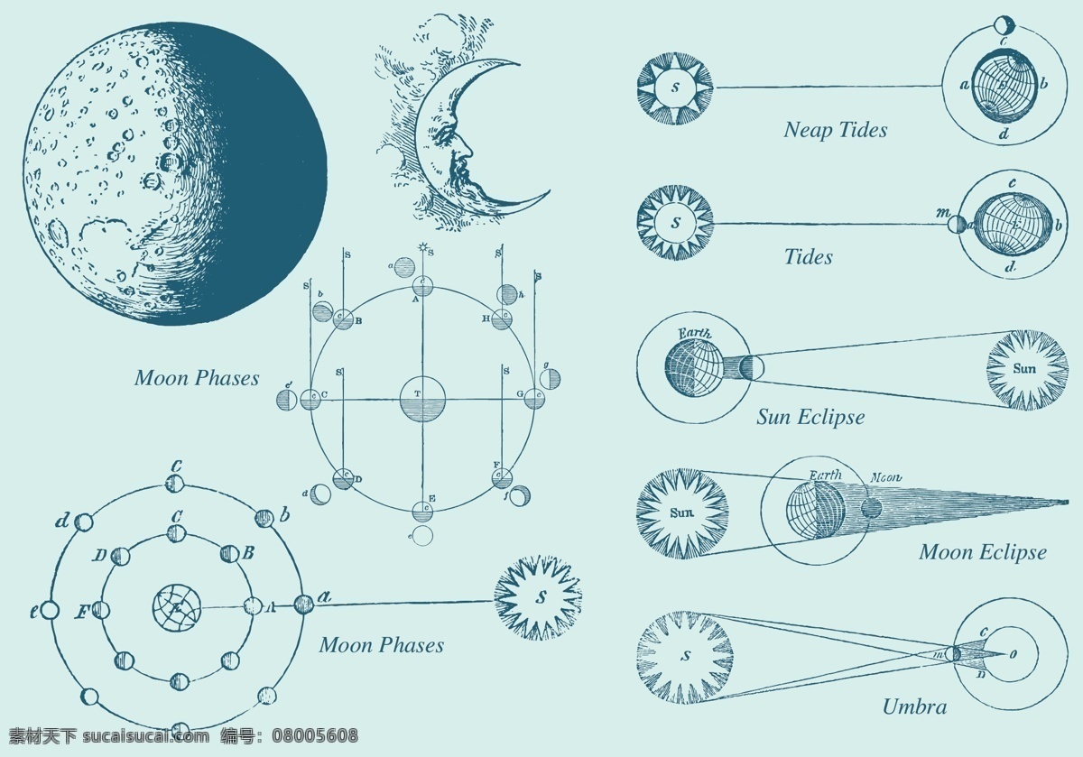老式 绘制 月球 相位 矢量 月亮 太阳 风 脸 素描 符号 复古 艺术 新月 图形 旧 手 孤立 轮廓 云 标志 线 元素 绘画 抽象 插图 天气 集 古董 风格 背景 图像 月相