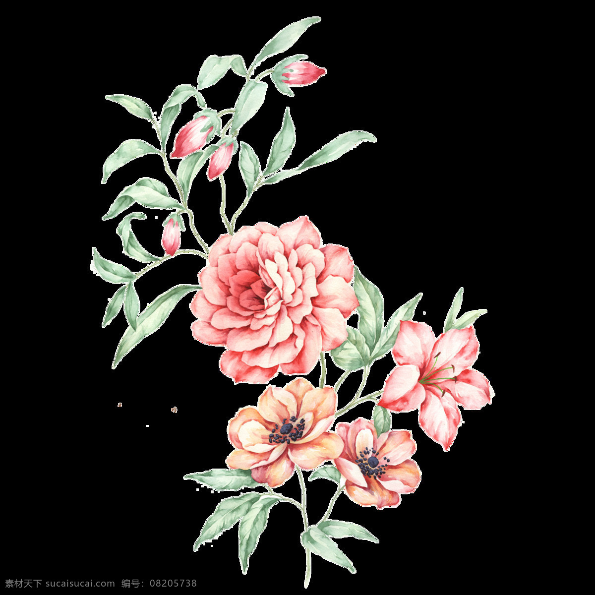 水彩 花卉 透明 装饰 免 扣 红色 花朵 绿色 透明素材 叶子