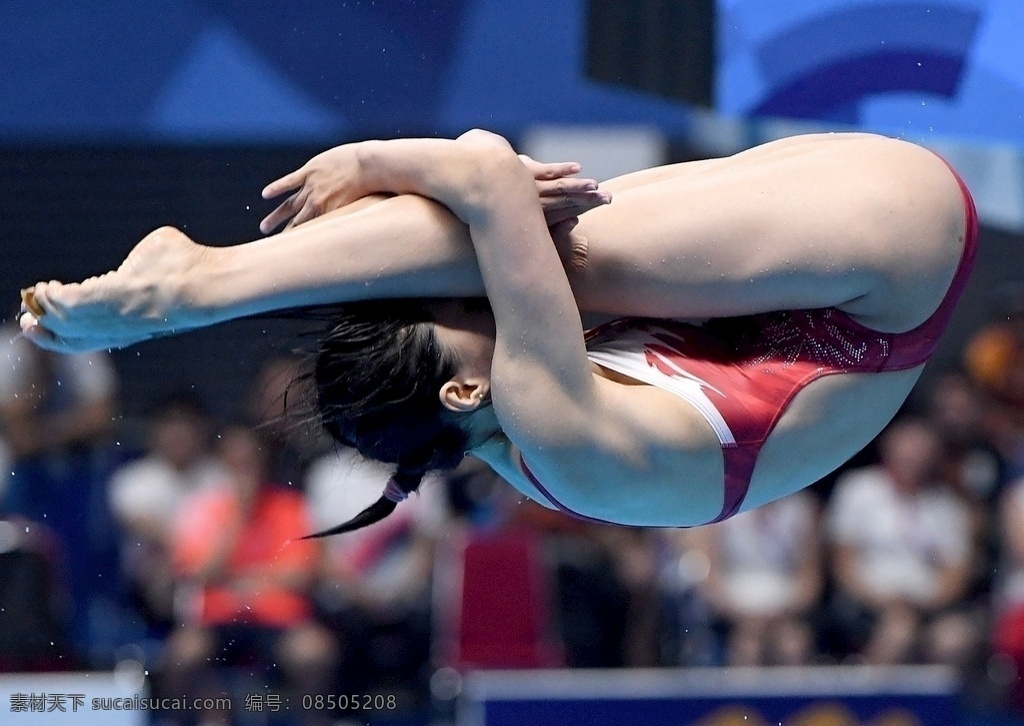 女子 跳水 运动员 健美 美腿 泳衣 泳装 文化艺术 体育运动