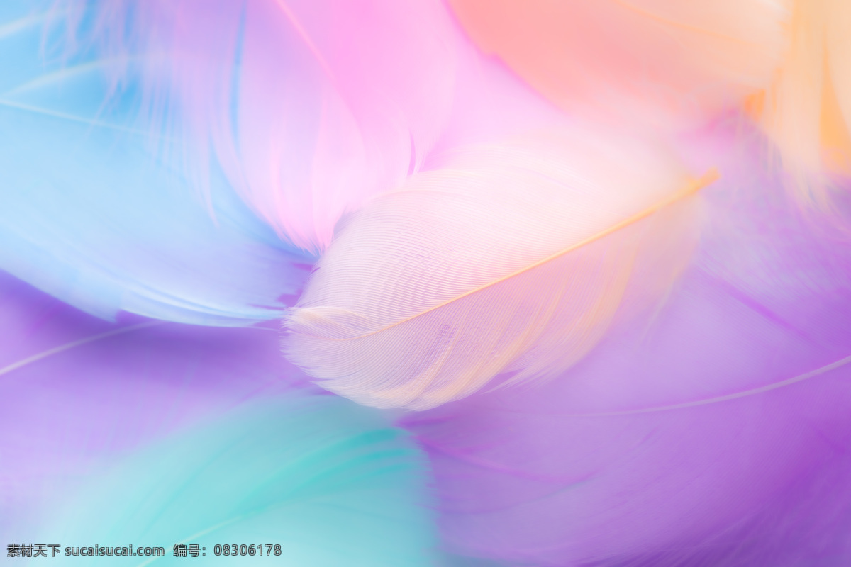 羽毛抽象背景 轻奢背景墙 现代简约背景 彩色羽毛 手绘羽毛 金色羽毛 羽毛壁画 北欧背景墙 电视背景墙 沙发背景 轻奢 北欧 现代简约 客厅壁画 清新 手绘 彩色 羽毛 抽象 烟雾 背景 壁画 小清新背景墙 网红拍照墙 直播背景墙 卧室背景墙 儿童房背景墙 直播间背景 轻奢羽毛 抽象羽毛 抽象图片 文化艺术