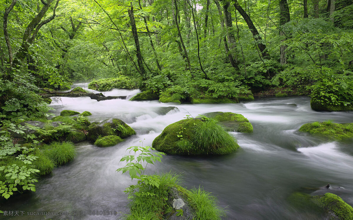 高清 风景 背景 图 绿色 山间 溪水 背景图片