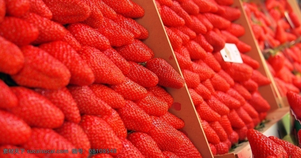 新鲜 草莓 新鲜草莓 鲜果 有机水果 绿色水果 农产品 果园 生物世界 水果