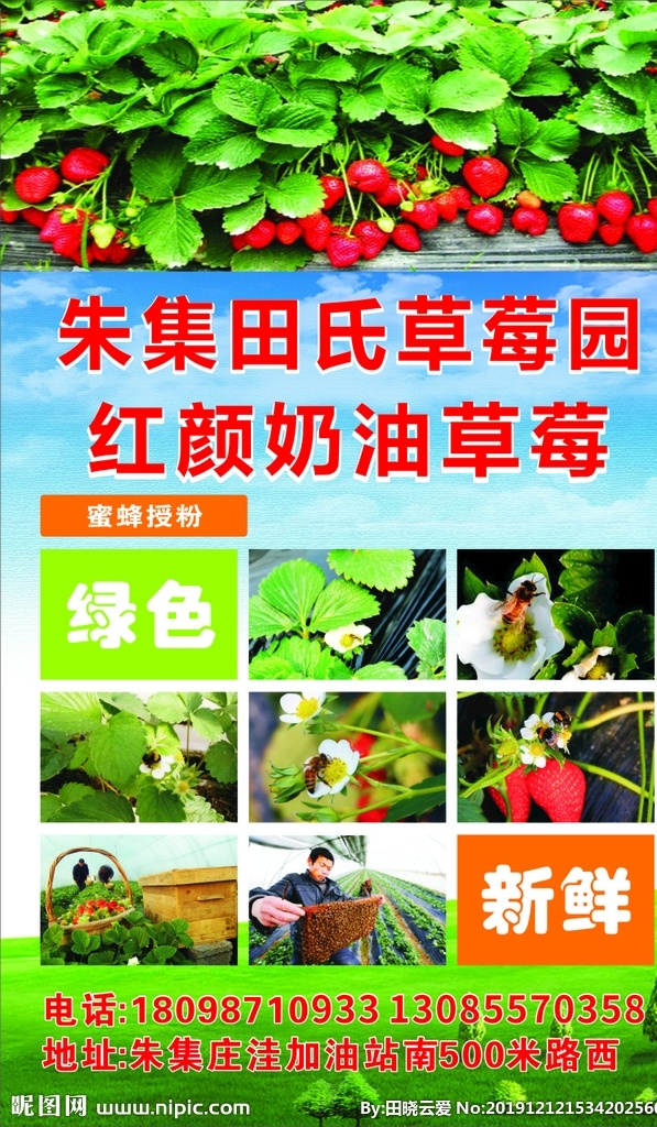 草莓广告语 广告 草莓 海报 宣传画 农业