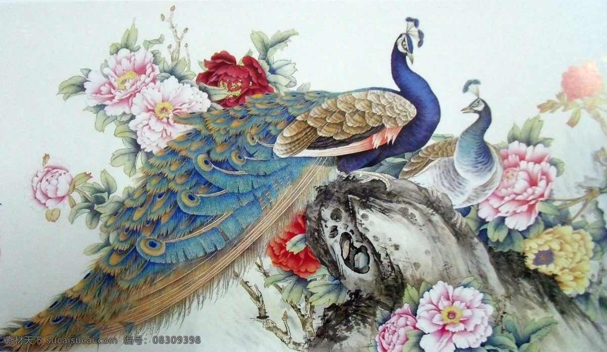 牡丹 孔雀 风景画 花开富贵 水墨画 中堂画 风景 生活 旅游餐饮