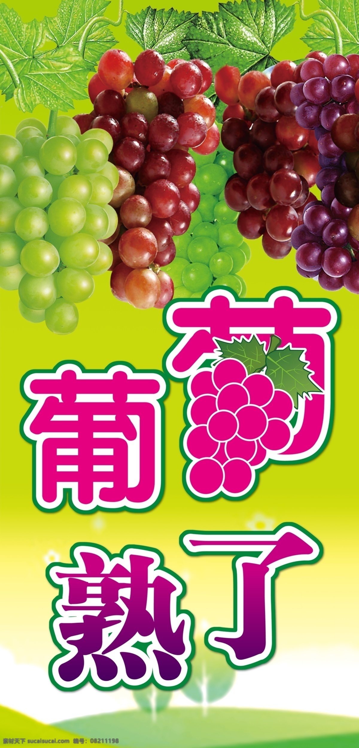 葡萄海波 葡萄 葡萄海报 葡萄上市 葡萄采摘节 葡萄采摘 葡萄园 水果葡萄 摘葡萄 葡萄庄园 葡萄红酒 葡萄节开幕 有机葡萄 葡萄批发 葡萄节 葡萄农业 生态葡萄 吐鲁番葡萄 进口葡萄 葡萄采摘文化 葡萄采摘活动 葡萄水果店 葡萄熟了 葡萄树 葡萄提子 葡萄红提 葡萄黑提 葡萄广告 葡萄地 农业海报