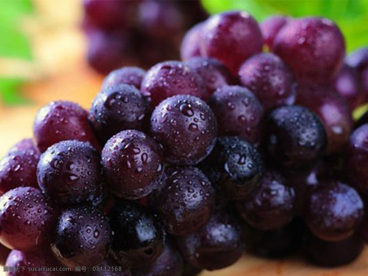 葡萄图片 葡萄 水果 果子 新鲜 生物世界