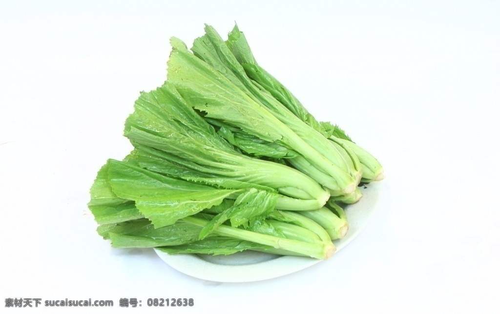 芥菜 生鲜 蔬菜 生物世界