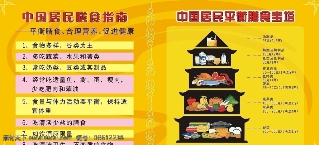 中国 居民 膳食 指南 食物 金字塔 营养 健康 宣传栏 矢量