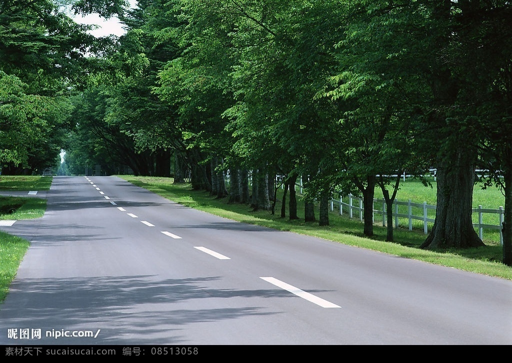 道路 笔直的公路 树荫 路边风景 柏油路 自然景观 摄影图库