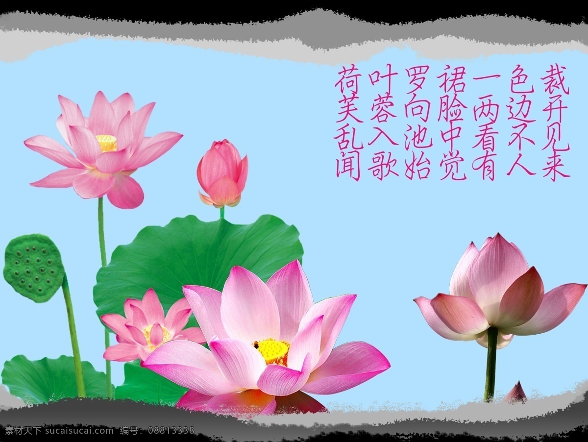 采莲曲 分层 背景素材 复古 荷花 莲花 墨迹 源文件 模板下载 psd源文件