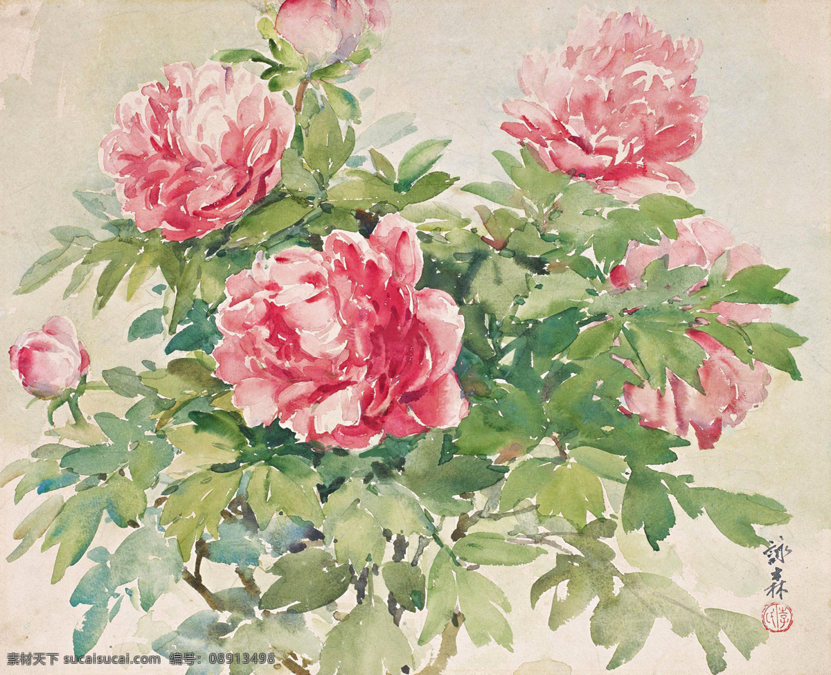 芍药 李咏森 水彩 花卉 静物 写生 静物写生 水彩画 中国画 绘画书法 文化艺术