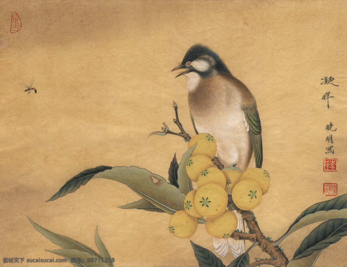 李晓明 工笔 花鸟 高清 图 工笔画 字画 国画 走廊挂画 客厅挂画 教室挂画 花鸟画 工笔花鸟 工笔国画 工笔荷花 工笔画欣赏 工笔画素材 文化艺术 绘画书法 高清工笔画 风景