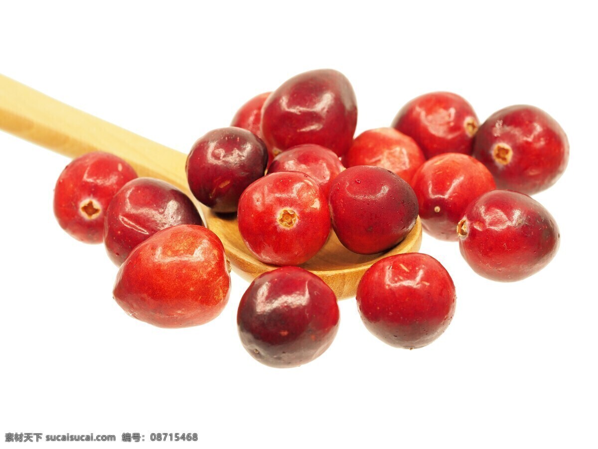 蔓越莓 浆果 有机水果 绿色水果 水果 生物世界