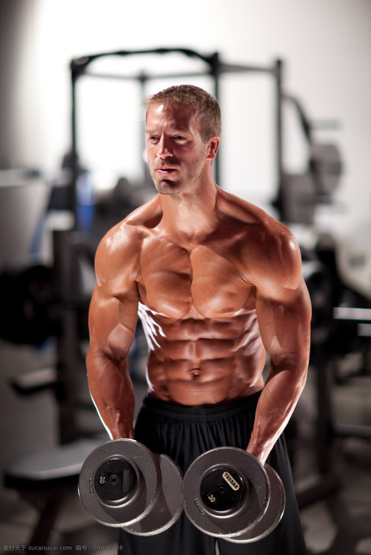 健美男体 ben an 补剂 公司 代言人 applied nutriceuticals bodybuild bodyspace 时尚 性感 模特 健美 健身 健体 健壮 健康 强壮 运动员 胸肌 腹肌 二头肌 三头肌 男人 猛男 肌肉男 发达 成熟 美男 器械 力量 赤膊 型体 男模 锻炼 示范 哑铃 杠铃 健身房 超高清 海报 体育 男体 人体 男性男人 人物图库