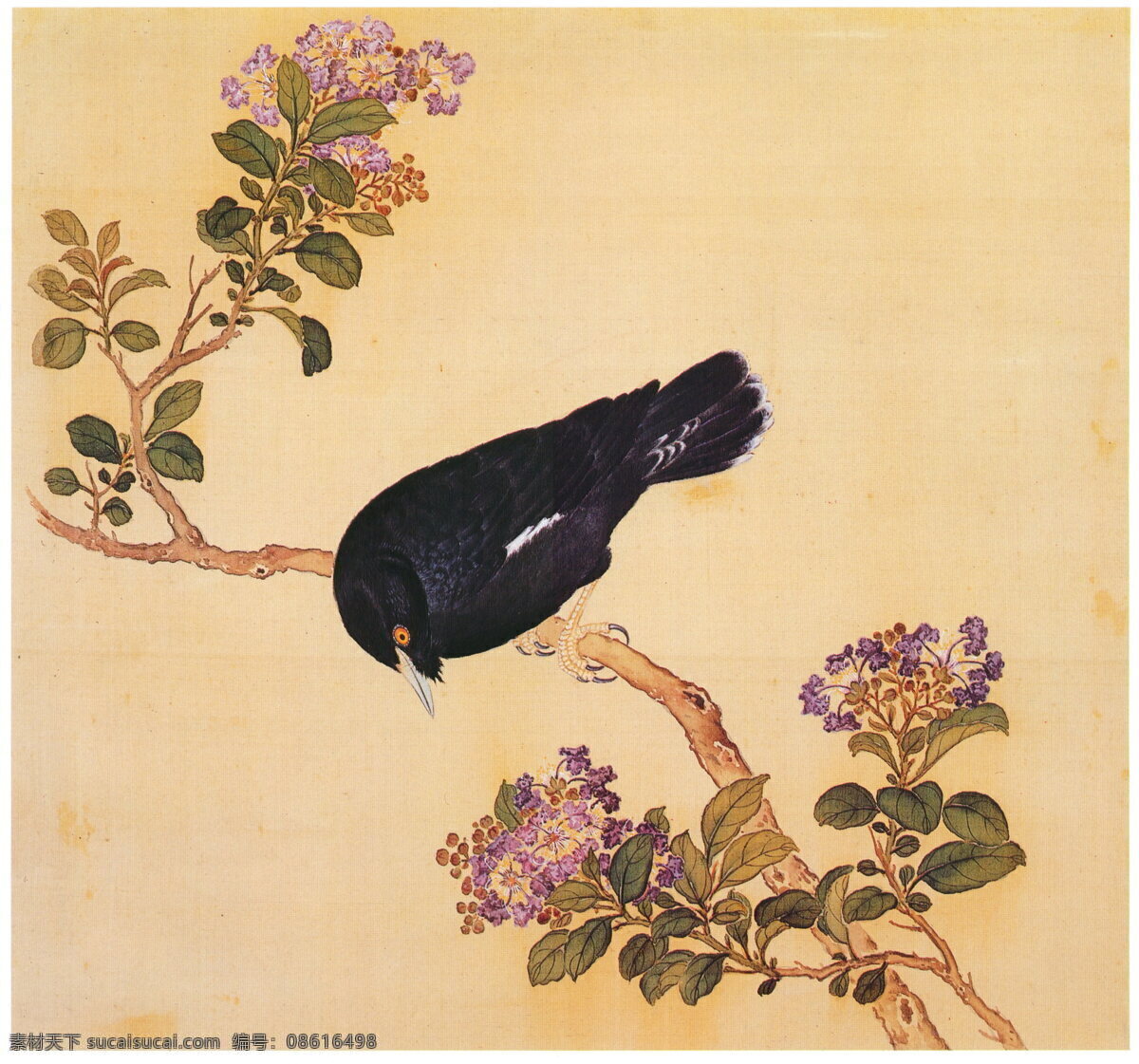 复古 花鸟 工笔画 清 飞禽绘画 鸟儿绘画 余省 临鸟谱 涂鸦画 花卉图 花卉 鸟雀 风景画 花卉写生 植物花朵绘画 装饰画 中国风 花草绘画 蝴蝶昆虫绘画 复古绘画 名家绘画 清代画家 花卉集 字画 水彩植物 花鸟册 中国画 工笔画鸟 工笔 古代 花鸟鱼虫 植物图谱 植物图集 画家绘画 树枝 历代 国画 文化艺术 绘画书法