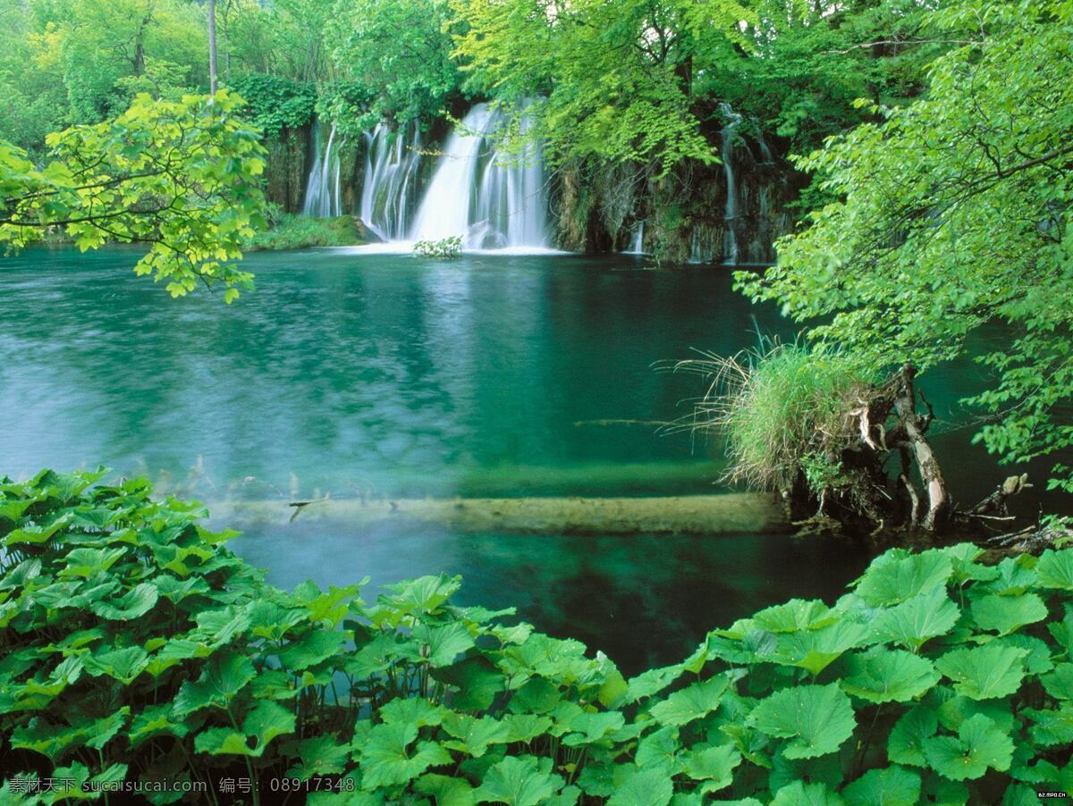 瀑布 绿水 绿树 自然景观 山水风景 摄影图库