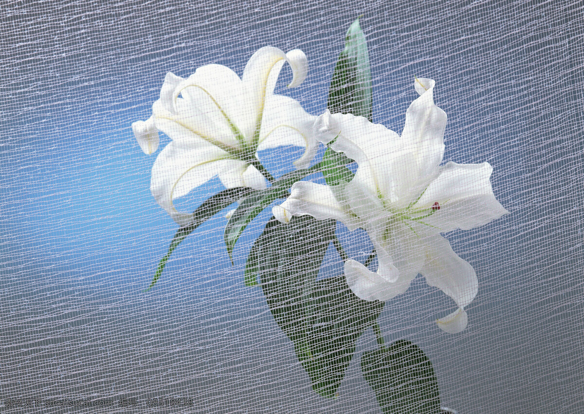 服装 叶子 白花 循环花 无缝 红底白花 大花 树叶 花朵树叶 黑叶子 乱花 花 玫瑰 百合 服装设计 鸟 豹纹 晕染几何 美图 鹦鹉 热带花 热带植物 热带椰树 椰树花 服装印花 潮牌印花 腰果花 百合花 花世界 花儿 牡丹花 植物 花瓣 花艺 盆栽 花卉系列 花丛 生物世界 花草