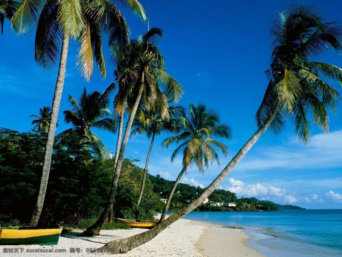 海滩椰子树 海南 沙滩 海边 大海 阳光 蓝天 日光浴 绿树 常绿乔木 风光 碧海 椰树 旅游 搁浅 小船 自然景观 自然风景