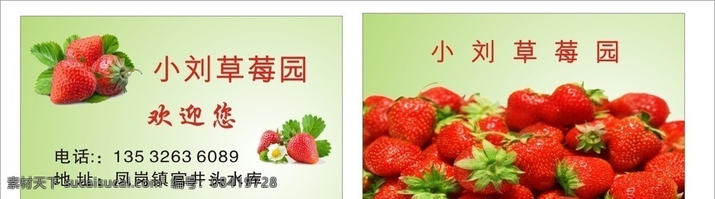 草莓园名片 草莓 绿色 名片 卡片 草莓园图片 牛奶 矢量 牛奶草莓 园矢量素材 牛奶草莓园 名片卡片