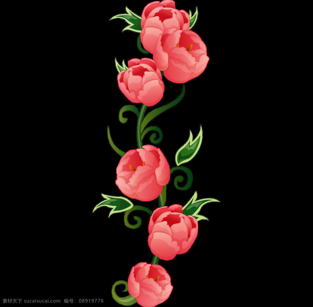 玫瑰花 免 扣 元素 花朵 排 免扣花朵素材 红玫瑰 一支花 植物